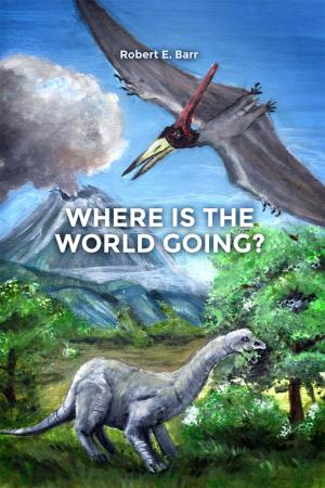 bigCover of the book Where Is the World Going? by 