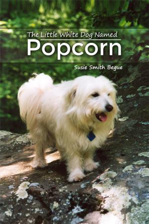 Cover of the book The Little White Dog Named Popcorn by Greg Johns
