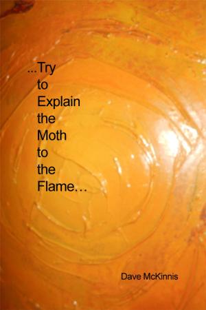bigCover of the book ...Try to Explain the Moth to the Flame… by 
