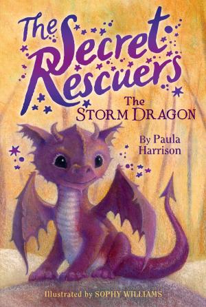 Cover of the book The Storm Dragon by Franklin W. Dixon