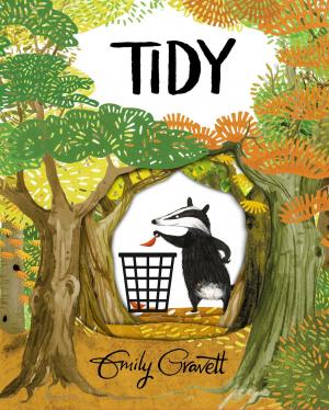 Cover of the book Tidy by Jon Scieszka