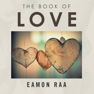Cover of the book The Book of Love by Jen Widerstrom