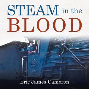 Cover of the book Steam in the Blood by Anchal Andrews