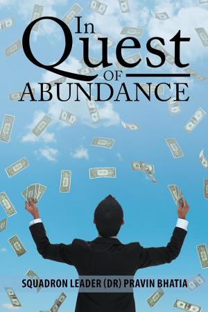 Cover of the book In Quest of Abundance by Vijay Jain