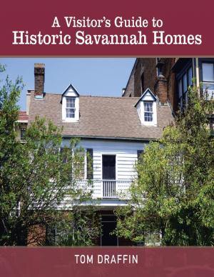 bigCover of the book A Visitor’s Guide to Historic Savannah Homes by 