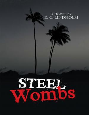 Cover of the book Steel Wombs by Linda M. Boris