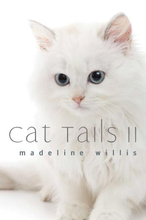Cover of the book Cat Tails II by Isaac Janai