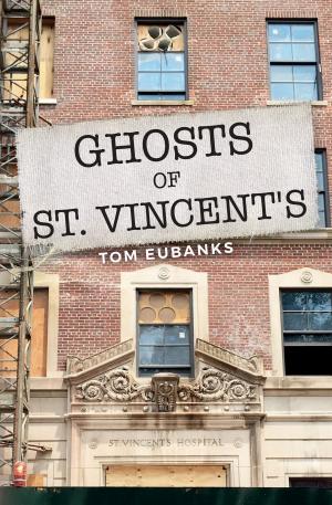 Cover of the book Ghosts of St. Vincent's by Ceil Stetson