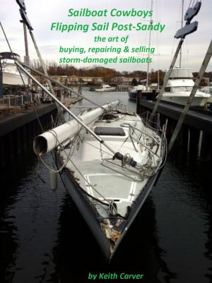 bigCover of the book Sailboat Cowboys Flipping Sail Post-Sandy by 