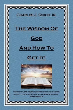 Cover of the book The Wisdom of God and How to Get It by John L. Olbert