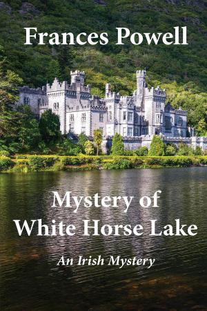Cover of the book Mystery of White Horse Lake by Narendra Simone