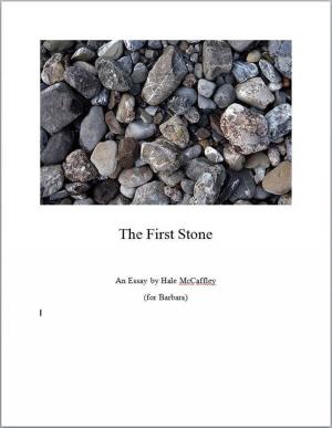 Cover of the book The First Stone by David Tips