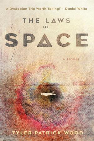 Cover of the book The Laws of Space by Laurisa White Reyes