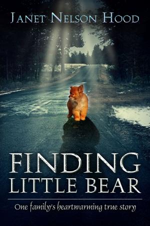 Cover of the book Finding Little Bear by Dr. Eddie M. Connor, Jr.