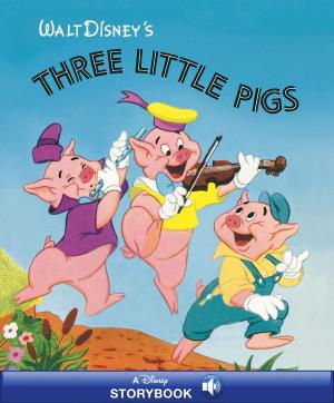 Book cover of Disney Classic Stories: Three Little Pigs