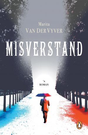 Cover of the book Misverstand by De Wet Potgieter