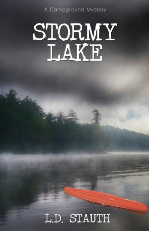Cover of the book Stormy Lake by Hannah Ngozi Chukwu