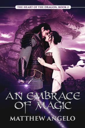 Cover of the book An Embrace of Magic by Caitlin Ricci, A.J. Marcus