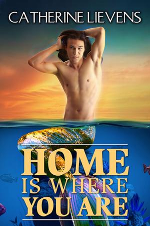 Cover of the book Home is Where You Are by Mark Alders