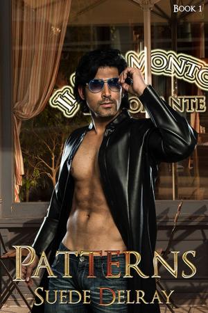 Cover of the book Patterns by Suede Delray