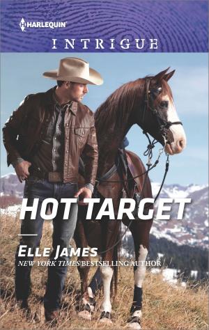 Cover of the book Hot Target by Whitney Bailey