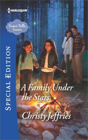 Cover of the book A Family Under the Stars by Mindy Klasky, Cat Schield