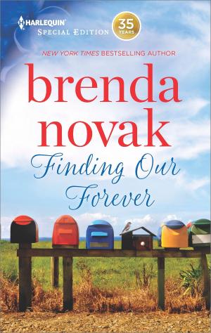 Book cover of Finding Our Forever
