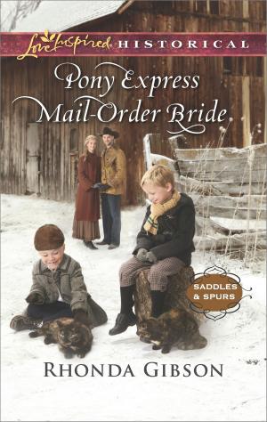 Book cover of Pony Express Mail-Order Bride