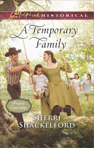 Cover of the book A Temporary Family by Linda Goodnight, Lissa Manley