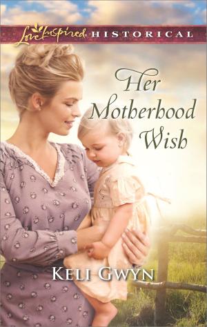 Cover of the book Her Motherhood Wish by Kaitlyn Rice
