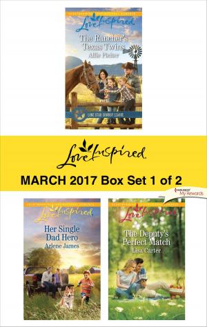 Cover of the book Harlequin Love Inspired March 2017 - Box Set 1 of 2 by Vivian Leiber