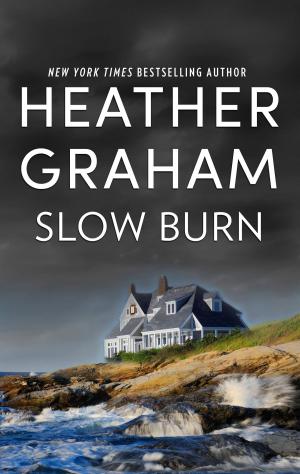 Cover of the book Slow Burn by Sherryl Woods