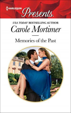 Cover of the book Memories of the Past by Erika Rhys