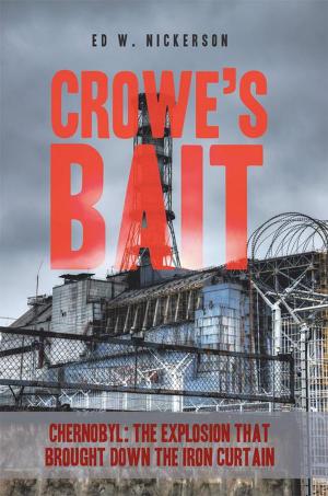 Book cover of Crowe’S Bait