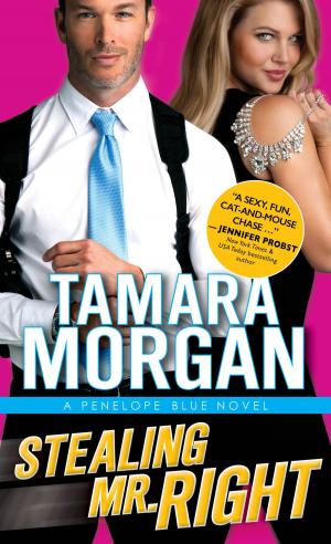 Cover of the book Stealing Mr. Right by L.M. Montgomery