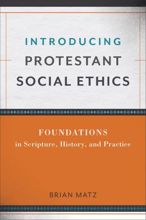 Cover of Introducing Protestant Social Ethics
