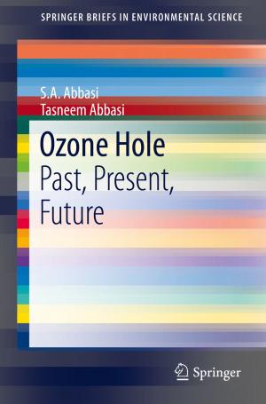 Cover of the book Ozone Hole by Angele McGrady, Donald Moss