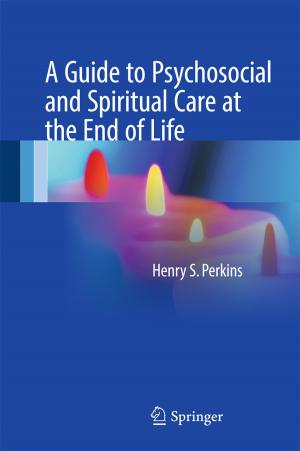 Cover of the book A Guide to Psychosocial and Spiritual Care at the End of Life by Richard Schmude, Jr.