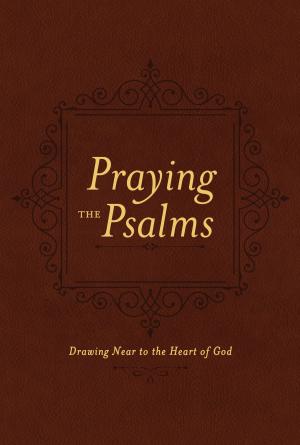 Cover of the book Praying the Psalms by Stephen Arterburn, David Stoop