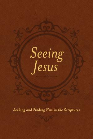 Book cover of Seeing Jesus