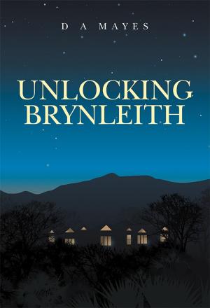 Cover of the book Unlocking Brynleith by Christine Levett