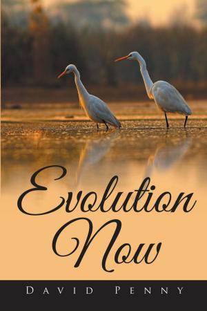 Cover of the book Evolution Now by R.M Hogan