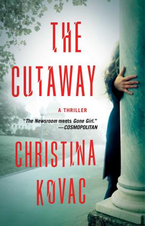 Cover of the book The Cutaway by Matthew Kneale