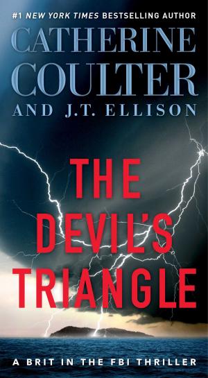 Book cover of The Devil's Triangle