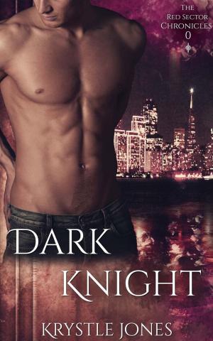 Cover of the book Dark Knight by J.A. Hornbuckle