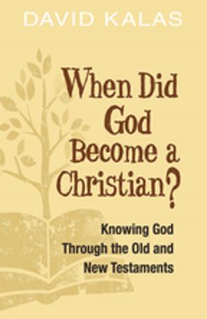 Book cover of When Did God Become a Christian?