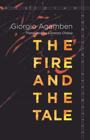 Cover of the book The Fire and the Tale by Heide Castañeda