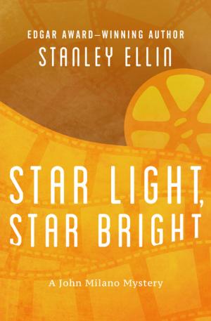 Cover of the book Star Light, Star Bright by Erik Setterlind
