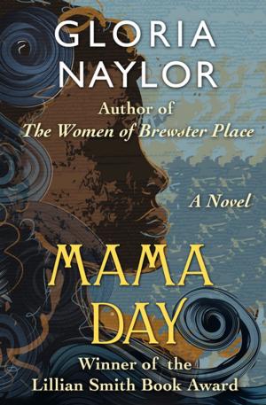Cover of the book Mama Day by Hayden Braeburn