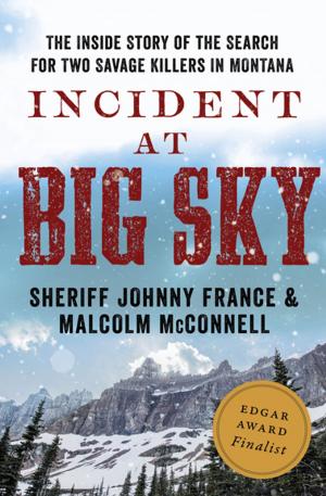 Cover of the book Incident at Big Sky by Lesley Glaister